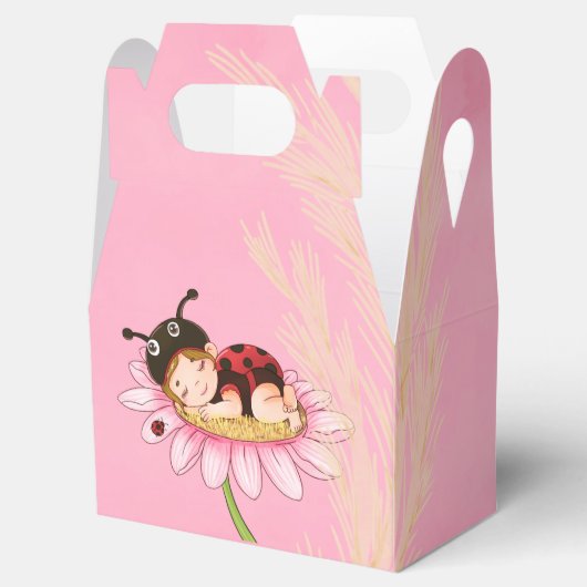 小さなお洒落ラディバグの赤ちゃんシャワー フェイバーボックス (オープン)