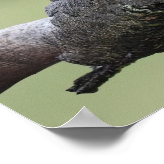 小さなお神隠し鳥ポスター ポスター (角)