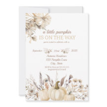 小さなかぼちゃがやってくる