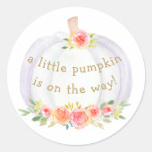 小さなかぼちゃが赤ちゃんシャワーの途中にある ラウンドシール (正面)
