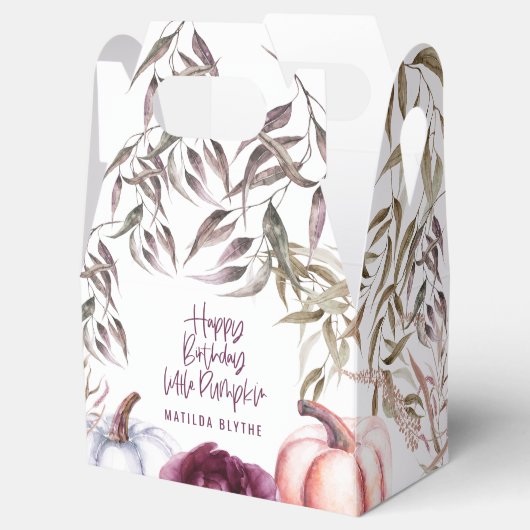 小さなかぼちゃのフローラ秋誕生日パーティー フェイバーボックス (オープン)