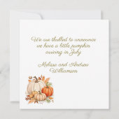 小さなかぼちゃの妊娠を期待して 案内状 (裏面)