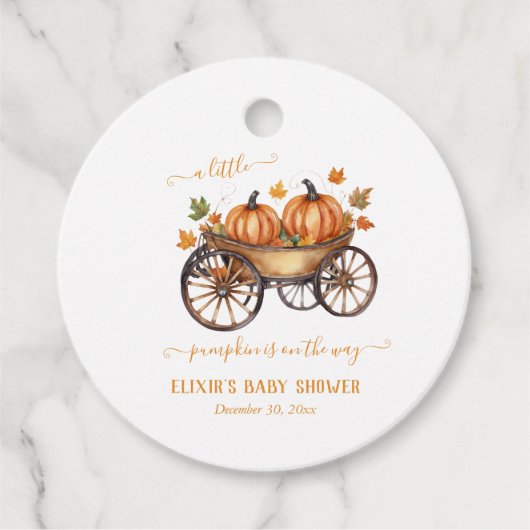 小さなかぼちゃの秋の赤ちゃん男女兼用シャワー フェイバータグ (正面)