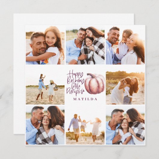 小さなかぼちゃ紫色のピンクのフローラ数々の写真 (正面/裏面)