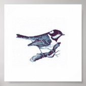 小さなかわいいブルーバードヴィンテージイラストレーション ポスター (正面)