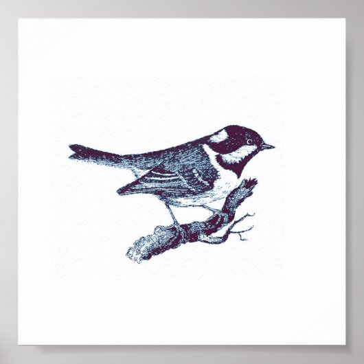 小さなかわいいブルーバードヴィンテージイラストレーション ポスター (正面)