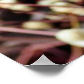 小さなかわいい小さなボール形の型枠野生の白いブッシュ ポスター (角)