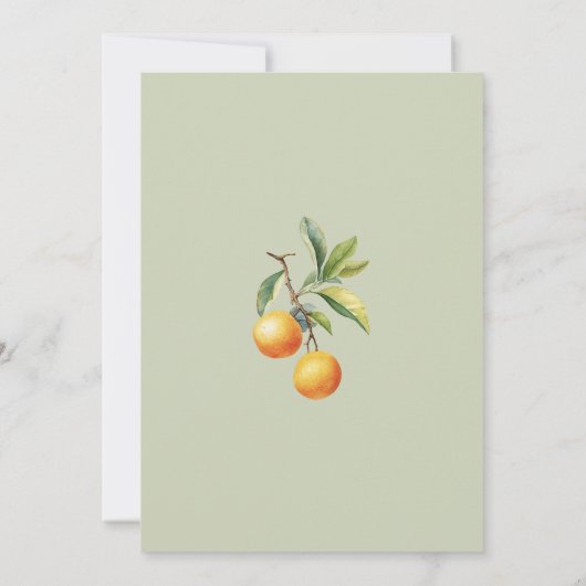 小さなかわいこちゃんがオレンジ色の赤ちゃんシャワーの途中にある 招待状 (裏面)