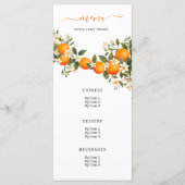 小さなかわいこちゃんがオレンジ色の赤ちゃんシャワーを浴びる メニュー (正面)