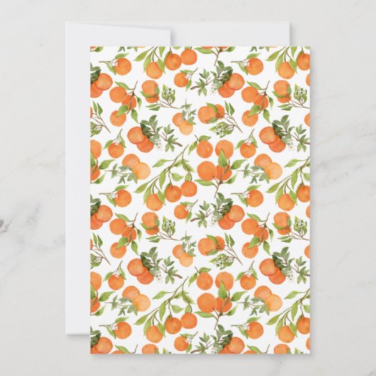 小さなかわいこちゃんが誕生の発表だ 案内状 (裏面)