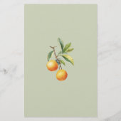 小さなかわいこちゃんが途中にあるベビーアドバイスカード (裏面)