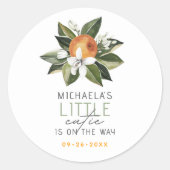 小さなかわいこちゃんは柑橘系の赤ちゃんシャワーの途中にある ラウンドシール (正面)