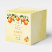 小さなかわいこちゃん柑橘類の水の色ベビーシャワー フェイバーボックス (正面サイド)