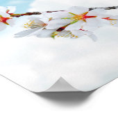 小さなかわいらしブルーバード ポスター (角)