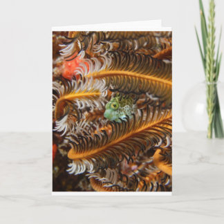 小さなことだ… カード