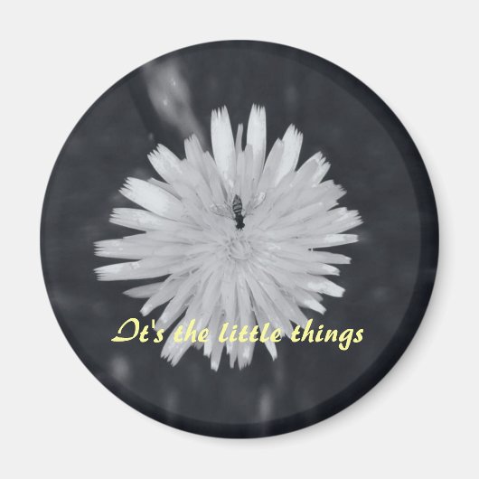 小さなことだ マグネット (正面)