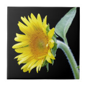 小さなひまわり タイル (正面)