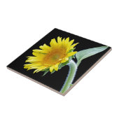 小さなひまわり タイル (側面)