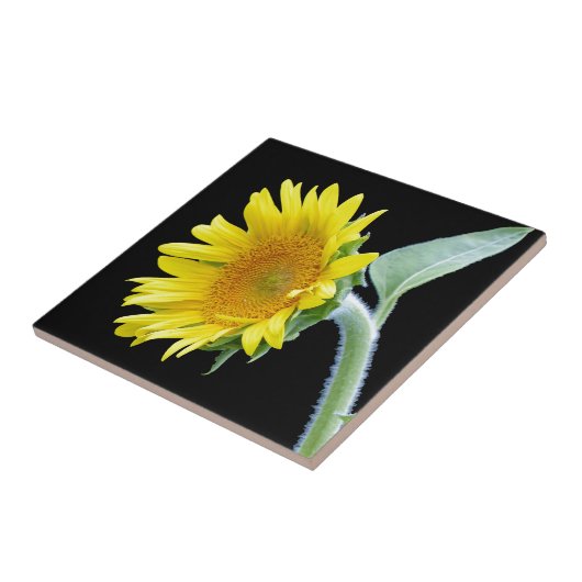 小さなひまわり タイル (側面)