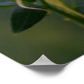 小さなものすべて黄色い花 ポスター (角)