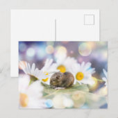 小さなもの ポストカード (正面/裏面)