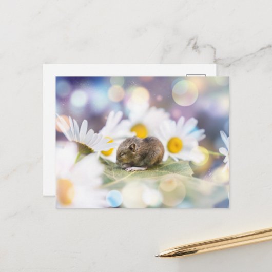 小さなもの ポストカード (正面/裏面インサイチュ)