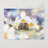 小さなもの ポストカード (正面)