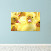 小さなアヒル キャンバスプリント (インサイチュ (ウッドフロア))