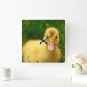 小さなアヒル スクエア壁時計 (ホーム)