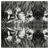 小さなアヒル ファブリック (クローズアップ)