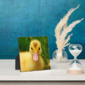 小さなアヒル フォトプラーク (インサイチュ)