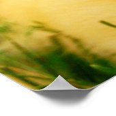 小さなアヒル ポスター (角)