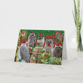 小さなアライグマとメリークリスマスフクロウ シーズンカード
