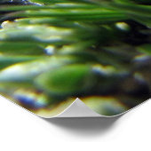 小さなアルパインツンドラの花 ポスター (角)