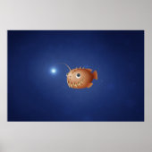 小さなアンコウ ポスター (正面)