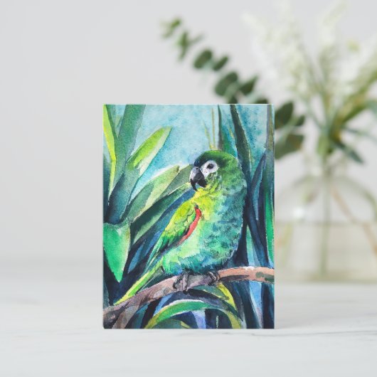 小さなオウム ポストカード (スタンド正面)