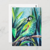 小さなオウム ポストカード (正面/裏面)
