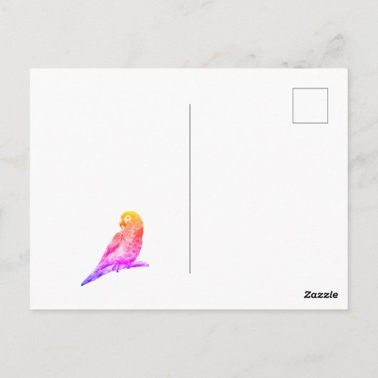 小さなオウム ポストカード (裏面)