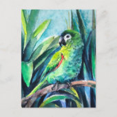 小さなオウム ポストカード (正面)