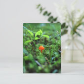 小さなオレンジのキノコ ポストカード (スタンド正面)