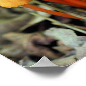 小さなオレンジマッシュルーム自然 ポスター (角)