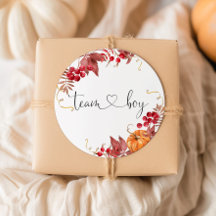 小さなオレンジ色のチームボーイのステッカー