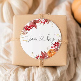 小さなオレンジ色のチームボーイのステッカー ラウンドシール