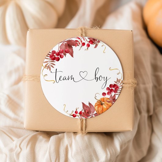 小さなオレンジ色のチームボーイのステッカー ラウンドシール