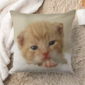 小さなオレンジ色の子猫 クッション (ブランケット)