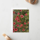 小さなオレンジ色の花 ノートカード (正面/裏面インサイチュ)