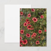 小さなオレンジ色の花 ノートカード (正面/裏面)