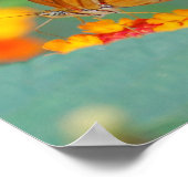 小さなオレンジ色の蝶のポスター ポスター (角)