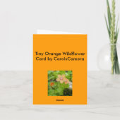 小さなオレンジ色の野花緋色のインペリアル シーズンカード (裏面)