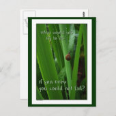 小さなカタツムリもしの「失敗できない」はがき ポストカード (正面/裏面)